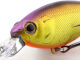 Jetty Shad 62SP