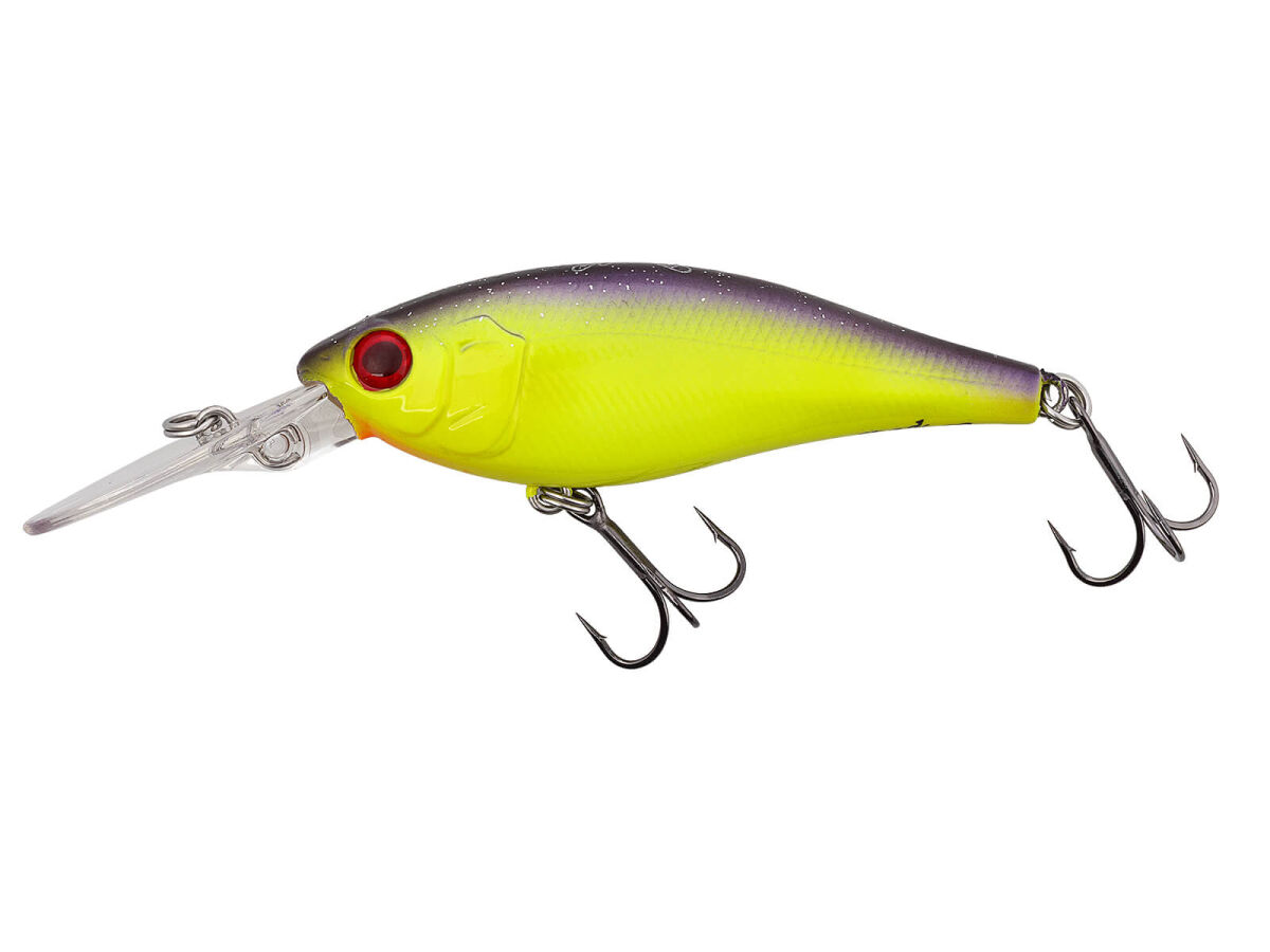 Jetty Shad 62SP (250) Trad Purple Chartreuse