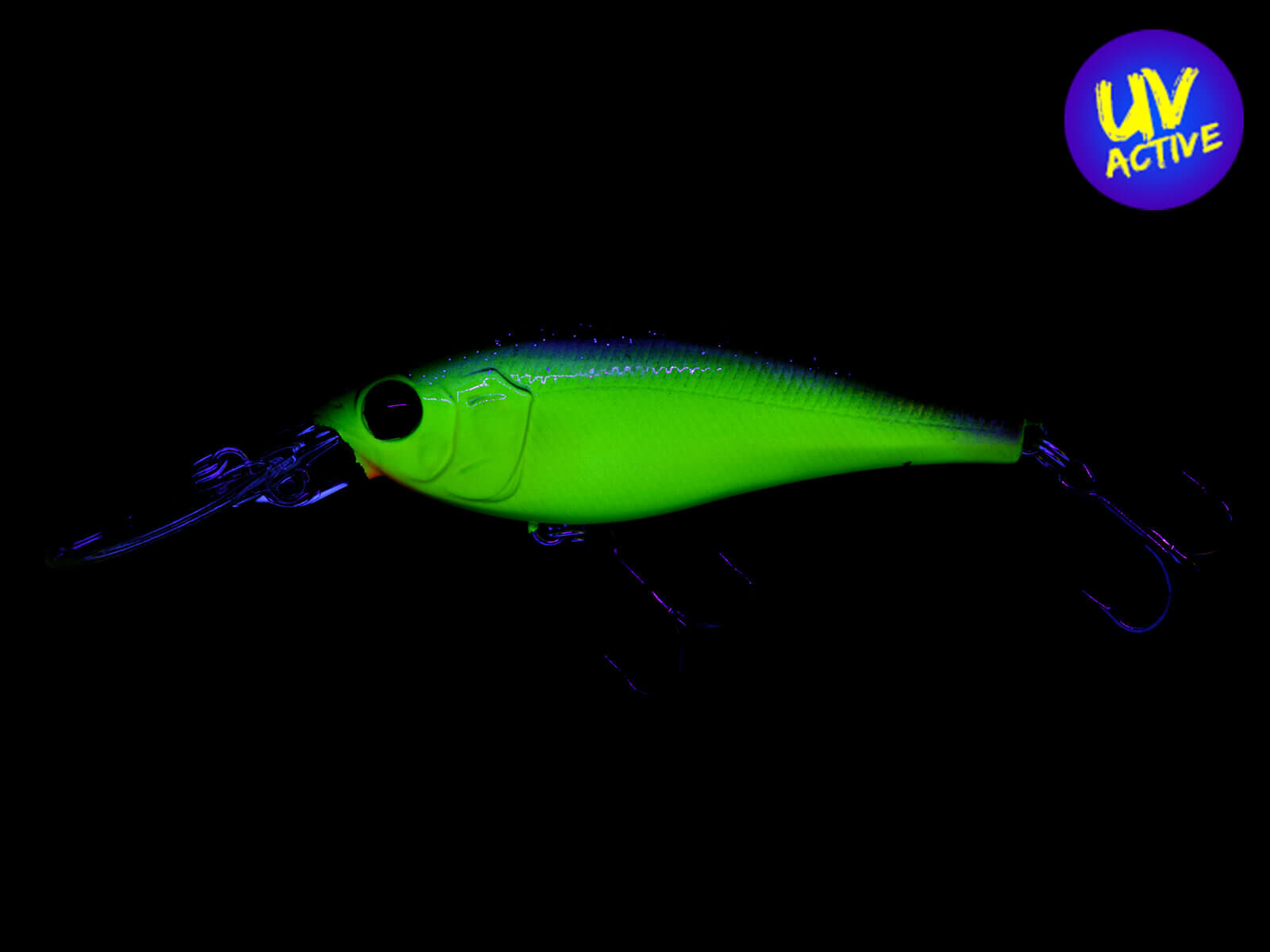 Jetty Shad 62SP (250) Trad Purple Chartreuse