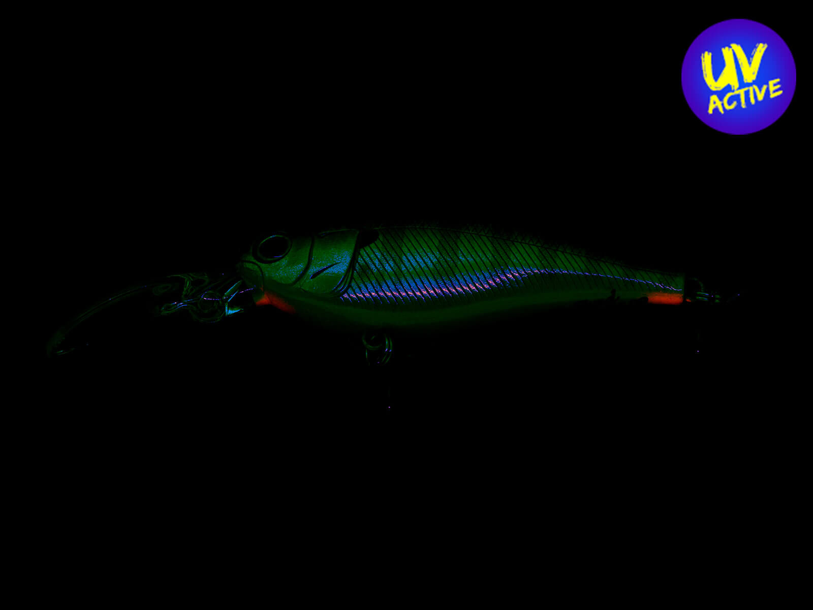 Jetty Shad 62SP (311) Flashing Real Blue Gill