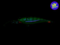 Jetty Shad 62SP (311) Flashing Real Blue Gill