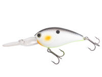 (422) Decatur Shad