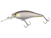 (442) Decatur Shad