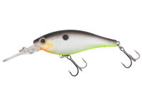 (422) Decatur Shad