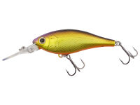 (443) Mild Gold Shad